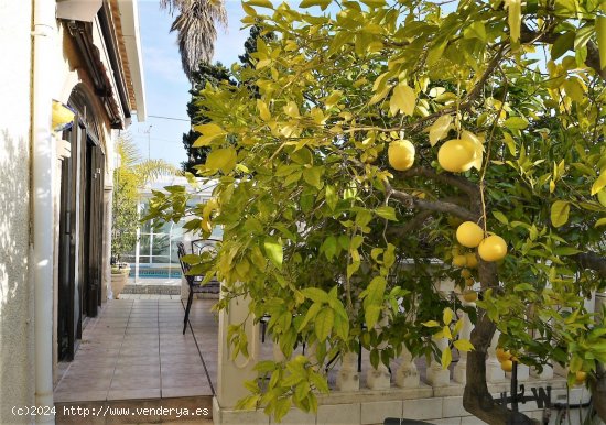 Villa en venta en Els Poblets (Alicante)