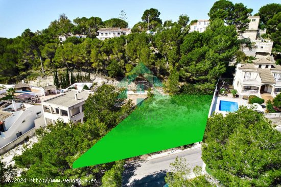 Parcela en venta en Pilar de la Horadada (Alicante)