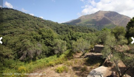 Finca en venta en Casares (Málaga)