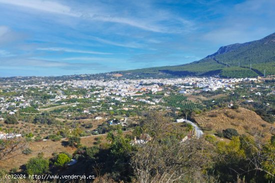 Solar en venta en Alhaurín el Grande (Málaga)