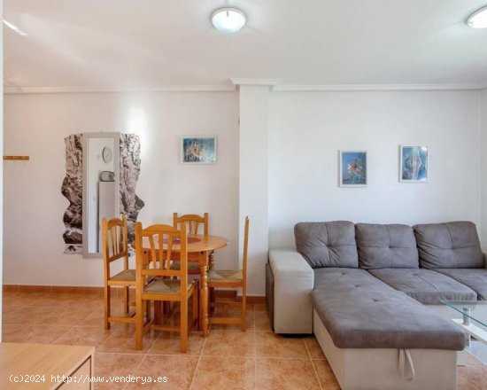 Apartamento en venta en Torrevieja (Alicante)