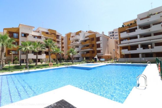 Apartamento en venta en Torrevieja (Alicante)