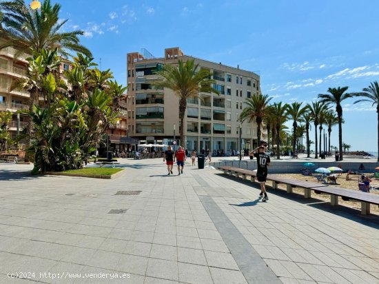 Apartamento en venta en Torrevieja (Alicante)