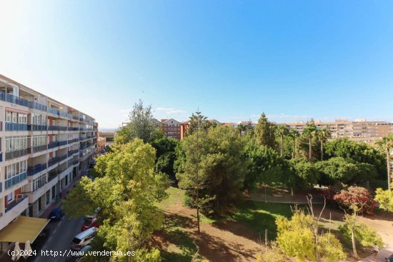 Apartamento en venta en Torrevieja (Alicante)