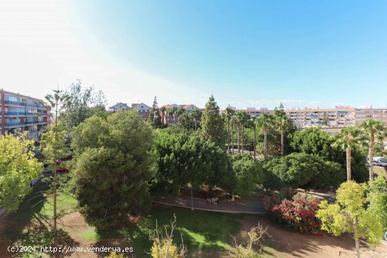 Apartamento en venta en Torrevieja (Alicante)