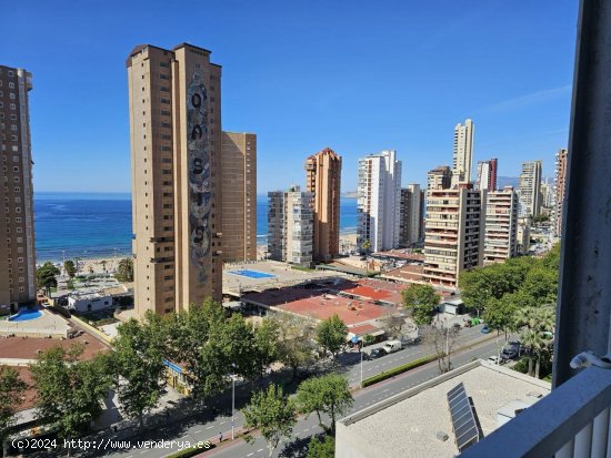  Apartamento en venta en Benidorm (Alicante) 