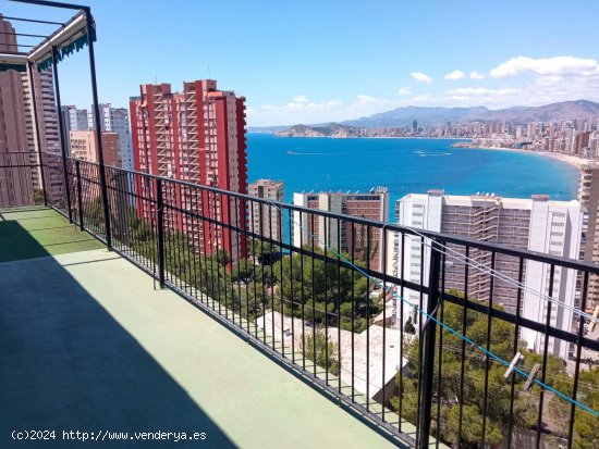 Villa en venta en Benidorm (Alicante)