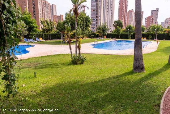 Apartamento en venta en Benidorm (Alicante)