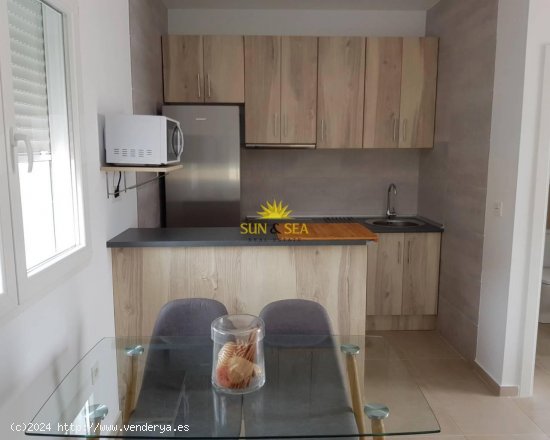 Apartamento en alquiler en Torrevieja (Alicante)