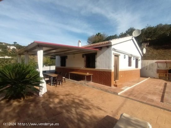 Casa en alquiler en Cómpeta (Málaga)