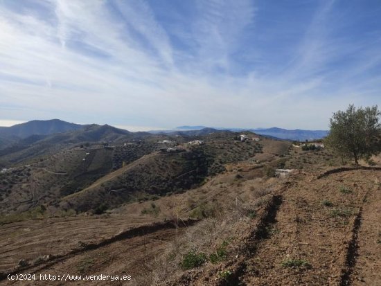 Parcela en venta en Canillas de Albaida (Málaga)