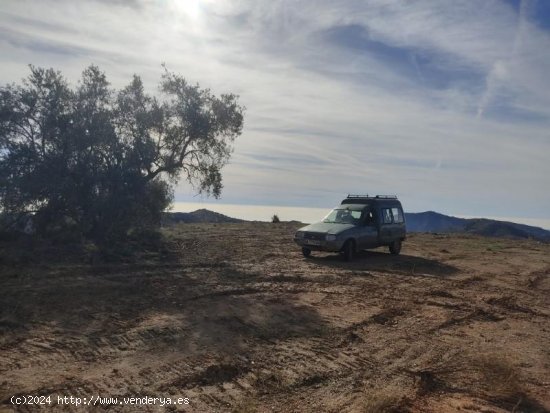 Parcela en venta en Canillas de Albaida (Málaga)