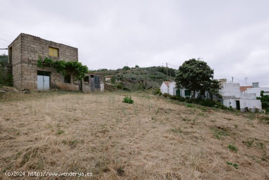 Casa en venta en Valleseco (Las Palmas)