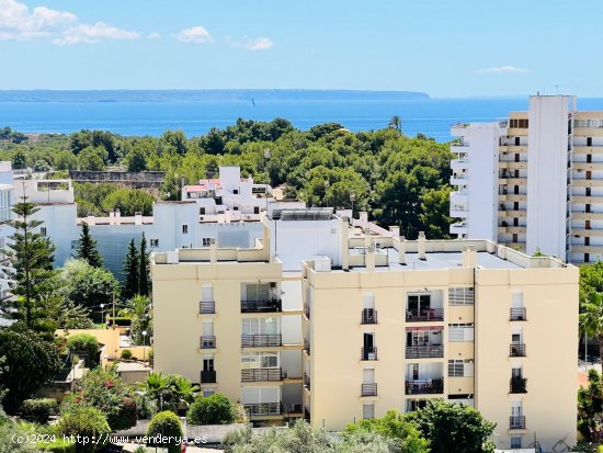 Piso en venta en Palma de Mallorca (Baleares)