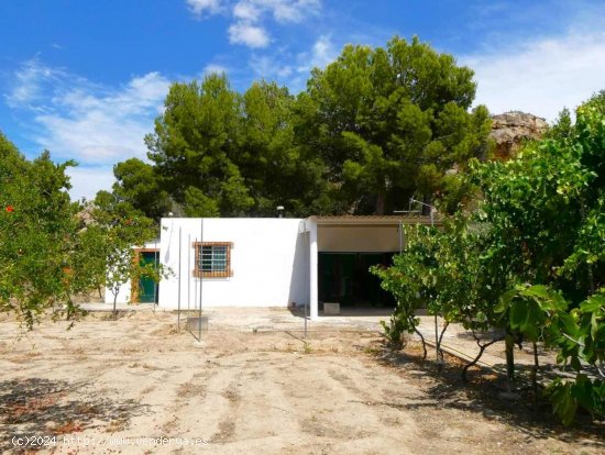  Finca en venta en Caspe (Zaragoza) 