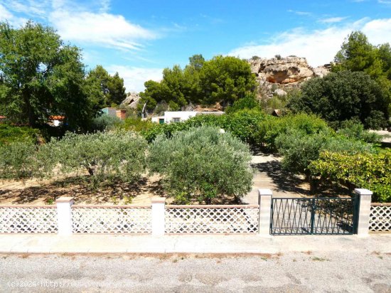 Finca en venta en Caspe (Zaragoza)