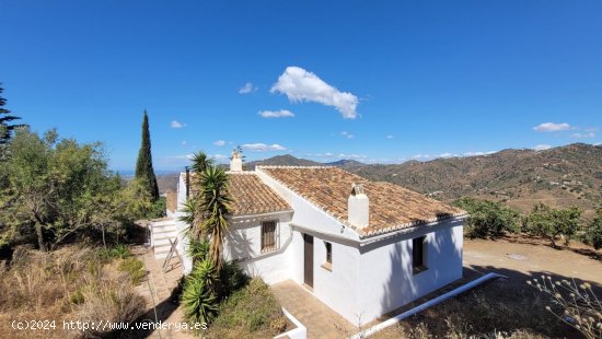 Finca en venta en Sayalonga (Málaga)