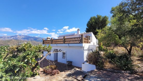 Finca en venta en Sayalonga (Málaga)