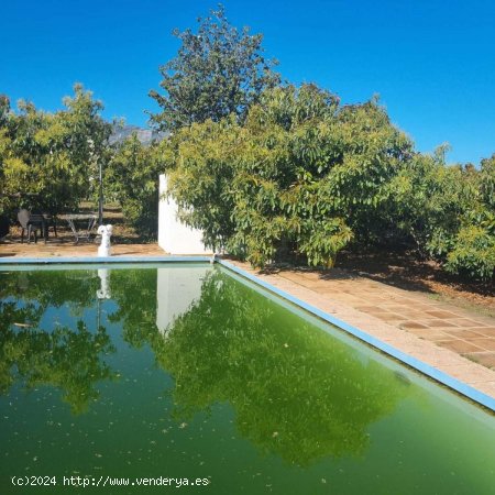 Finca en venta en Alhaurín de la Torre (Málaga)