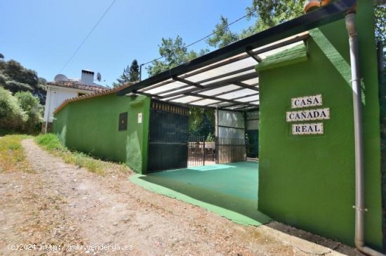 Finca en venta en Ronda (Málaga)