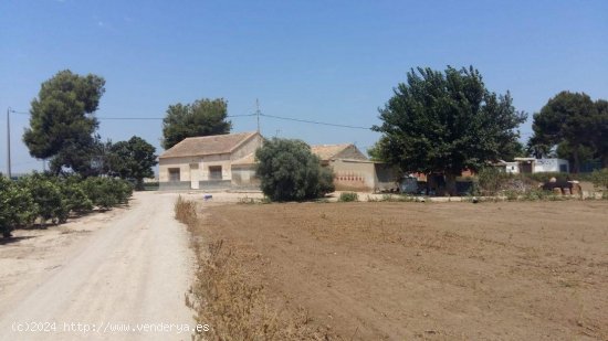  Finca en venta en Daya Nueva (Alicante) 