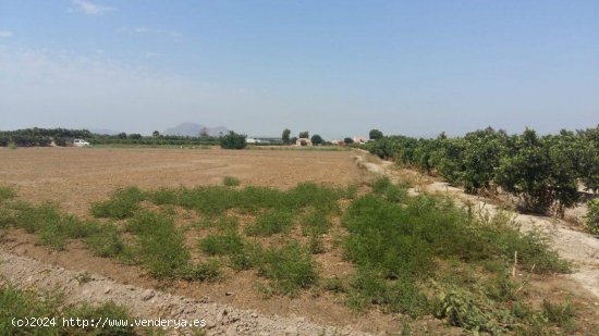 Finca en venta en Daya Nueva (Alicante)