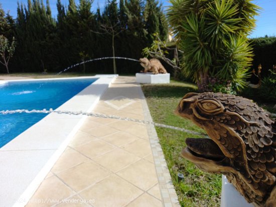 Villa en alquiler en Mijas (Málaga)