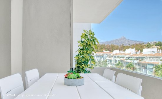 Apartamento en alquiler en Marbella (Málaga)