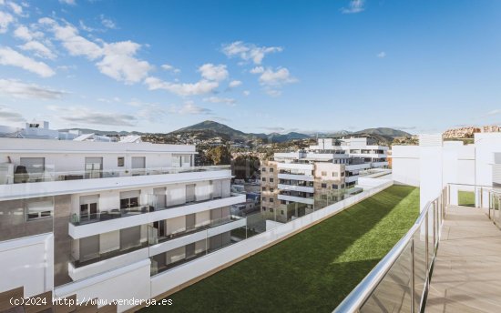 Apartamento en alquiler en Marbella (Málaga)