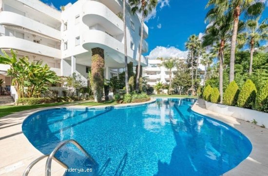 Dúplex en alquiler en Marbella (Málaga)