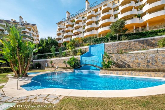 Apartamento en alquiler en Marbella (Málaga)