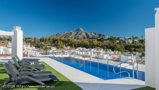  Apartamento en alquiler en Marbella (Málaga) 