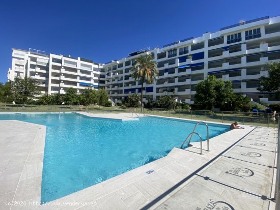 Apartamento en alquiler en Marbella (Málaga)