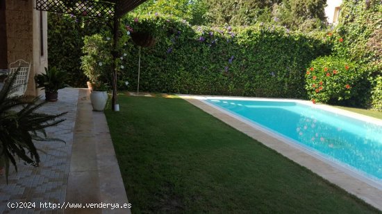 Villa en alquiler en Marbella (Málaga)