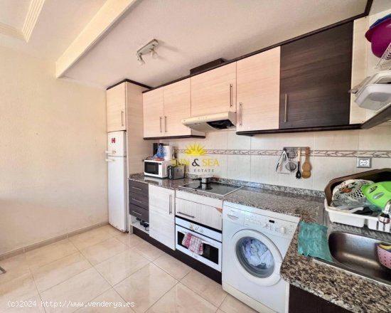 Apartamento en alquiler en Torrevieja (Alicante)