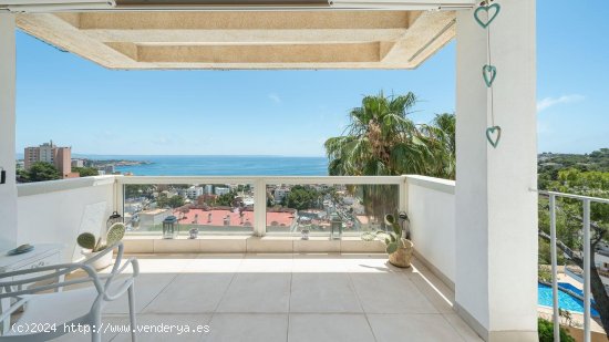 Piso en venta en Palma de Mallorca (Baleares)