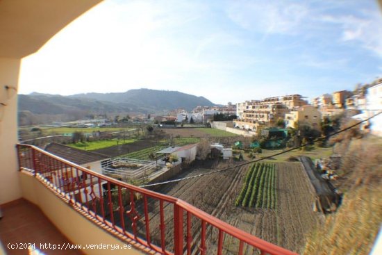 Piso en alquiler en Cenes de la Vega (Granada)