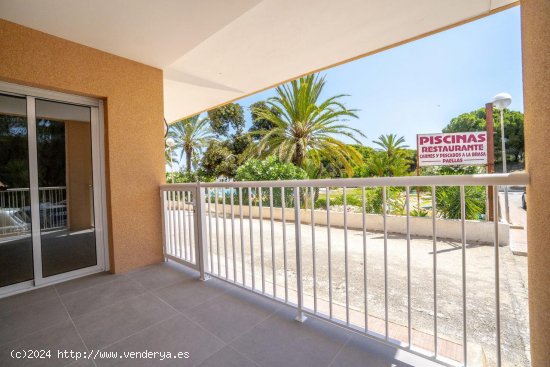  Apartamento en venta en Guardamar del Segura (Alicante) 