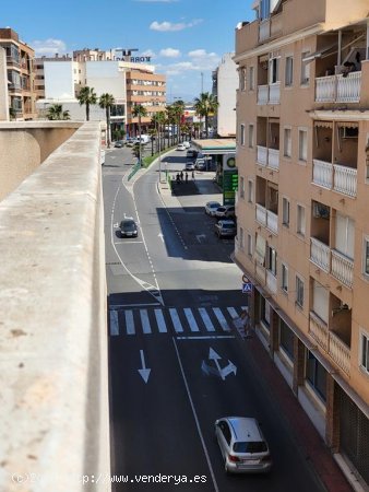 Apartamento en venta en Torrevieja (Alicante)