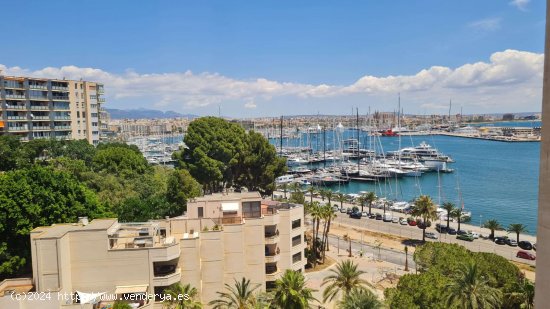 Apartamento en alquiler en Palma de Mallorca (Baleares)