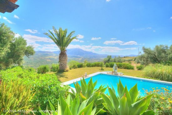  Villa en venta en Periana (Málaga) 