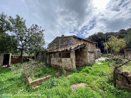 Finca en venta en Pollença (Baleares)