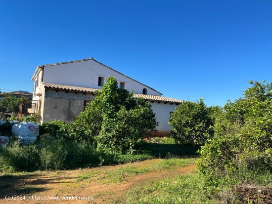 Finca en venta en Pedreguer (Alicante)