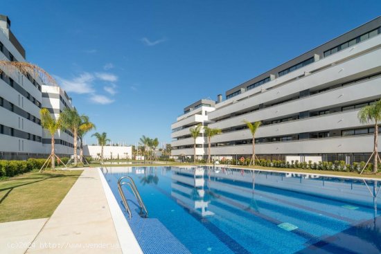 Apartamento en alquiler en Torremolinos (Málaga)