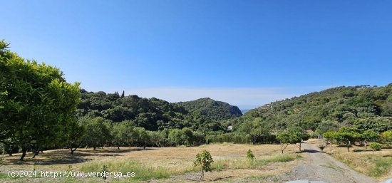  Parcela en venta en Casares (Málaga) 