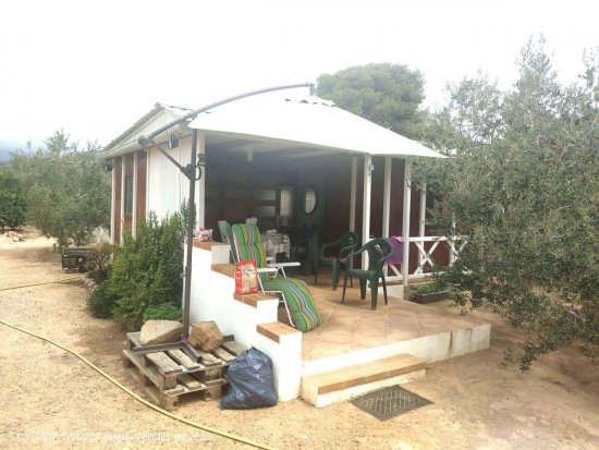 Finca en venta en Maspujols (Tarragona)