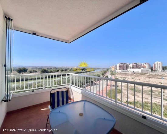 Apartamento en alquiler en Guardamar del Segura (Alicante)