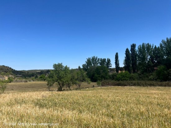 Finca en venta en Valderrobres (Teruel)