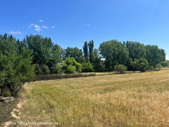 Finca en venta en Valderrobres (Teruel)