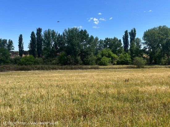 Finca en venta en Valderrobres (Teruel)